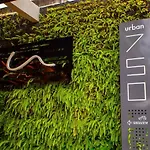 Urban 750 Por Carpediem