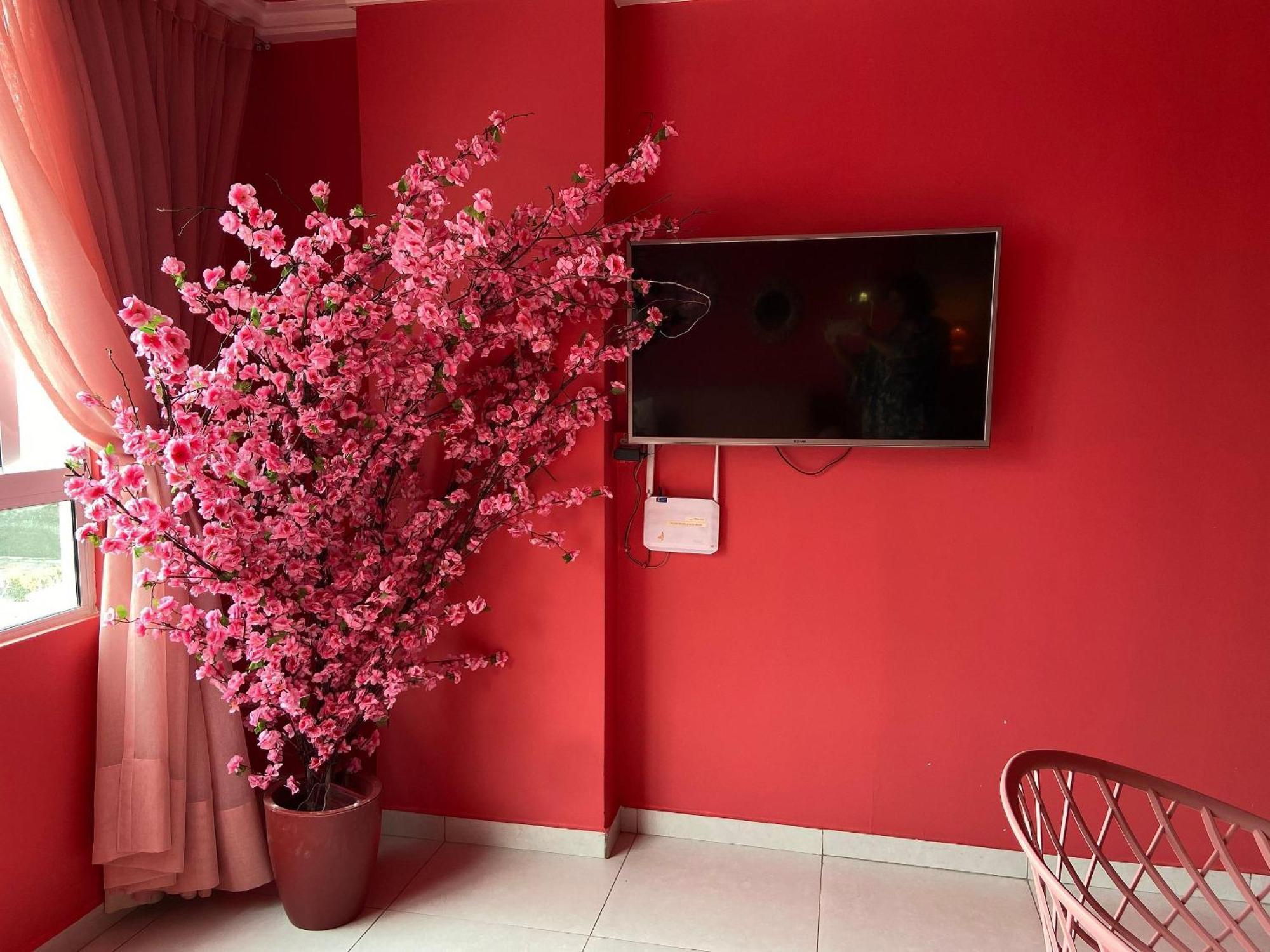 O Rosa João Pessoa