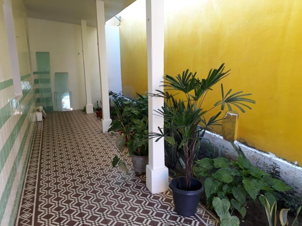 Fenix Inn *