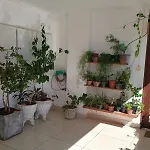 Cantinho Aconchegante 305 Praia Tambau