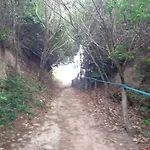 Brisa De Carapibus