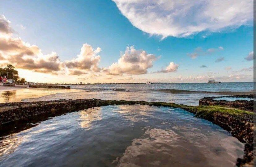 Branco Haus Ap Superior, Pe Na Areia E Vista Mar. Apartamento