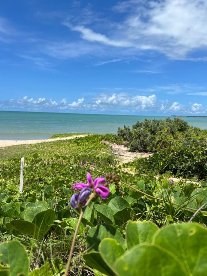 Apartamento Novo Frente O Mar