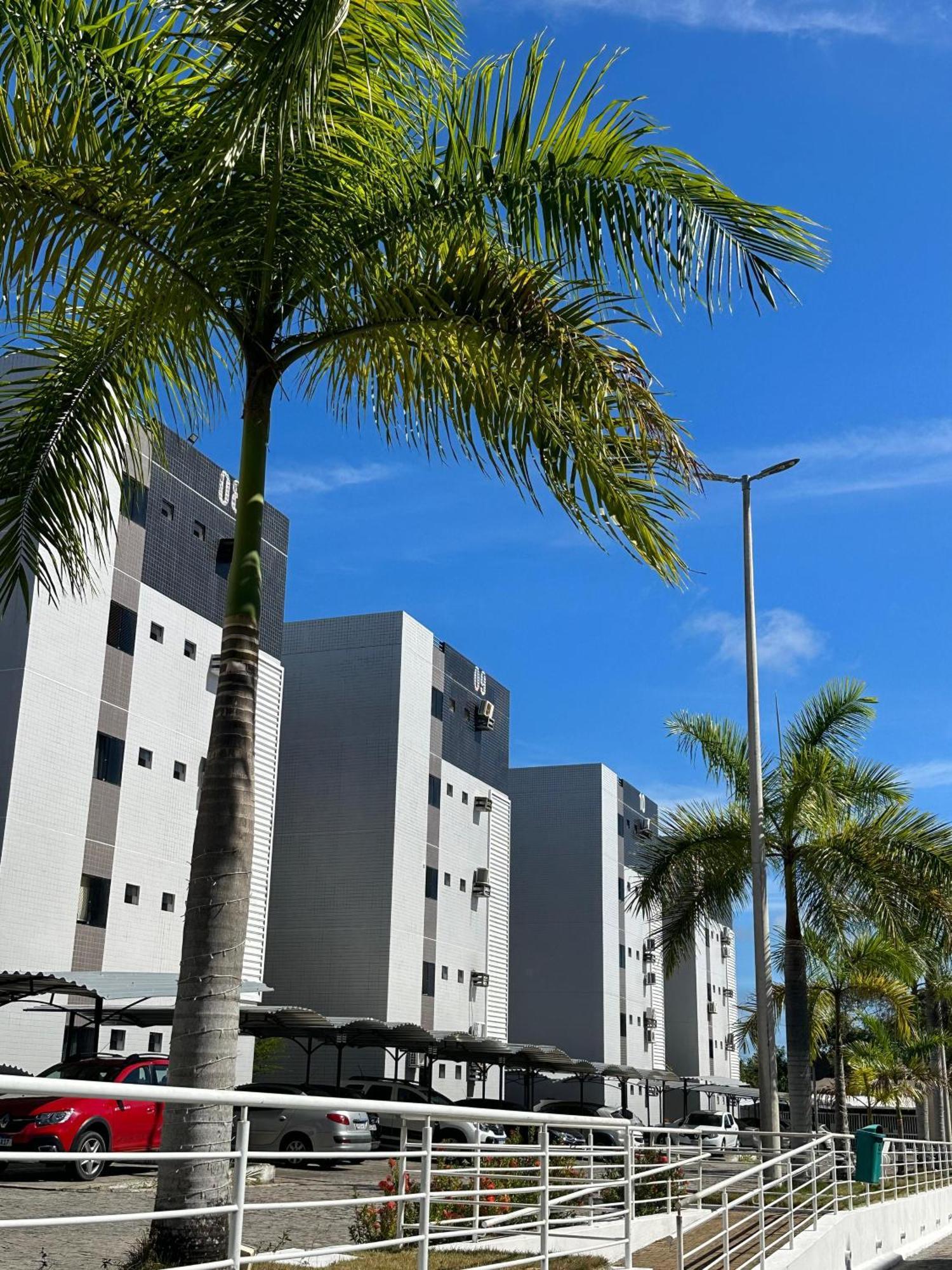 Apartment Amplo Com Piscina E Academia