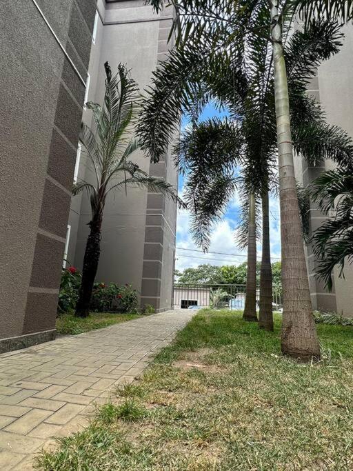 Aconchegante Em Apartamento *