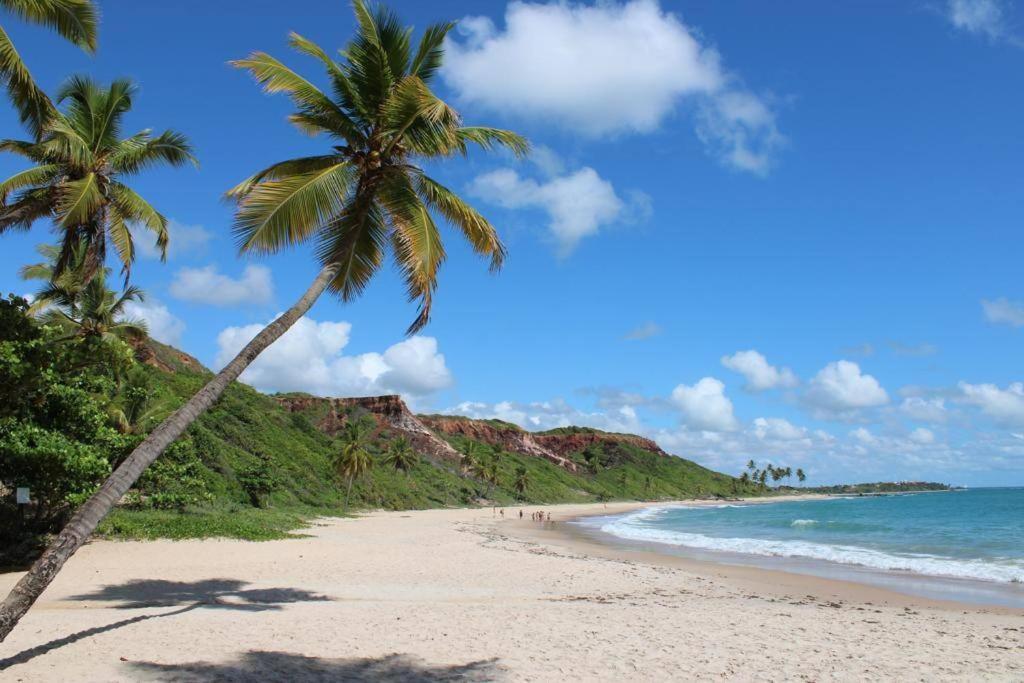 Encantador Ilha Do Caribe