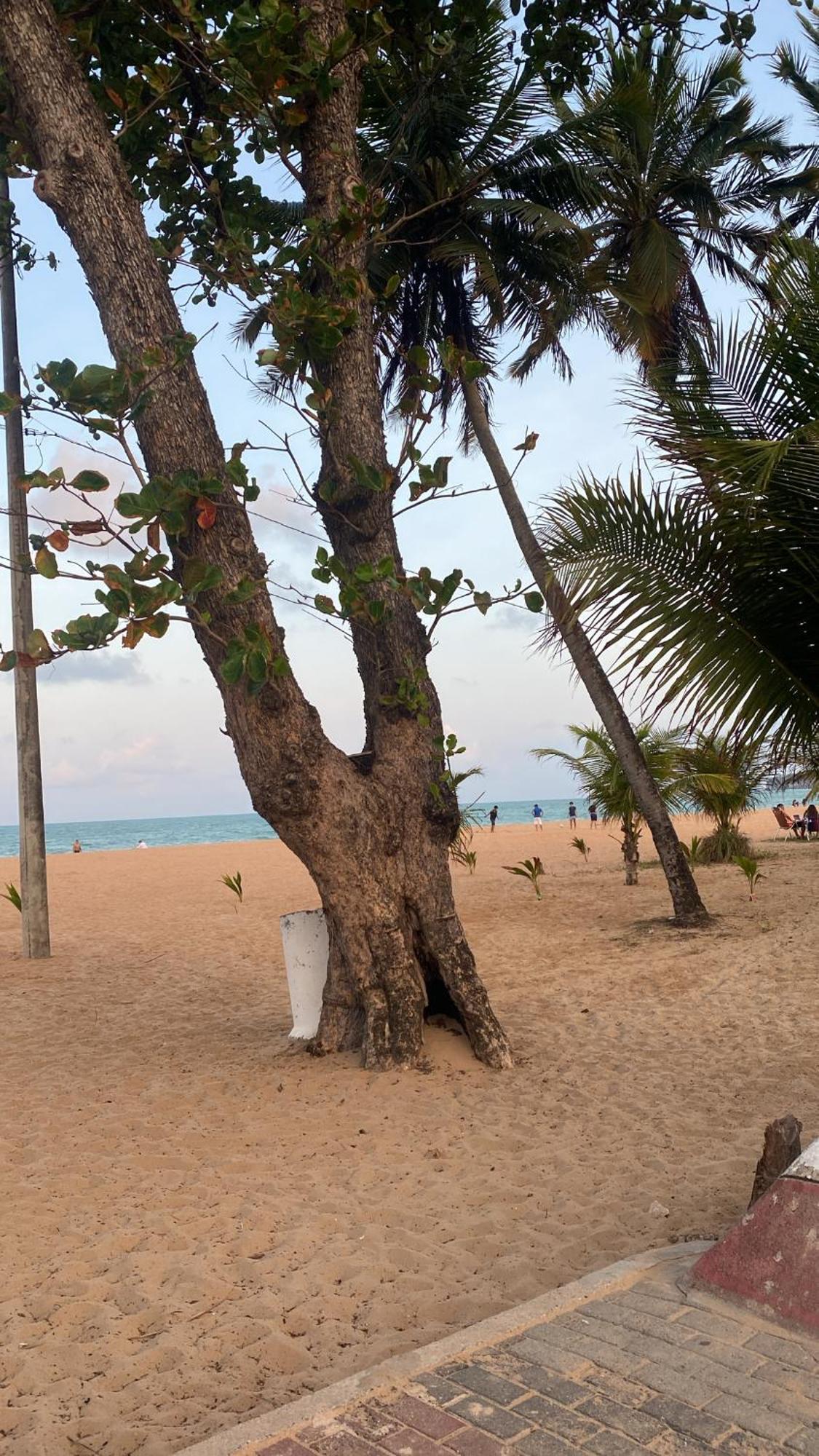 Apartamento Aluga Flat No Cabo Branco *