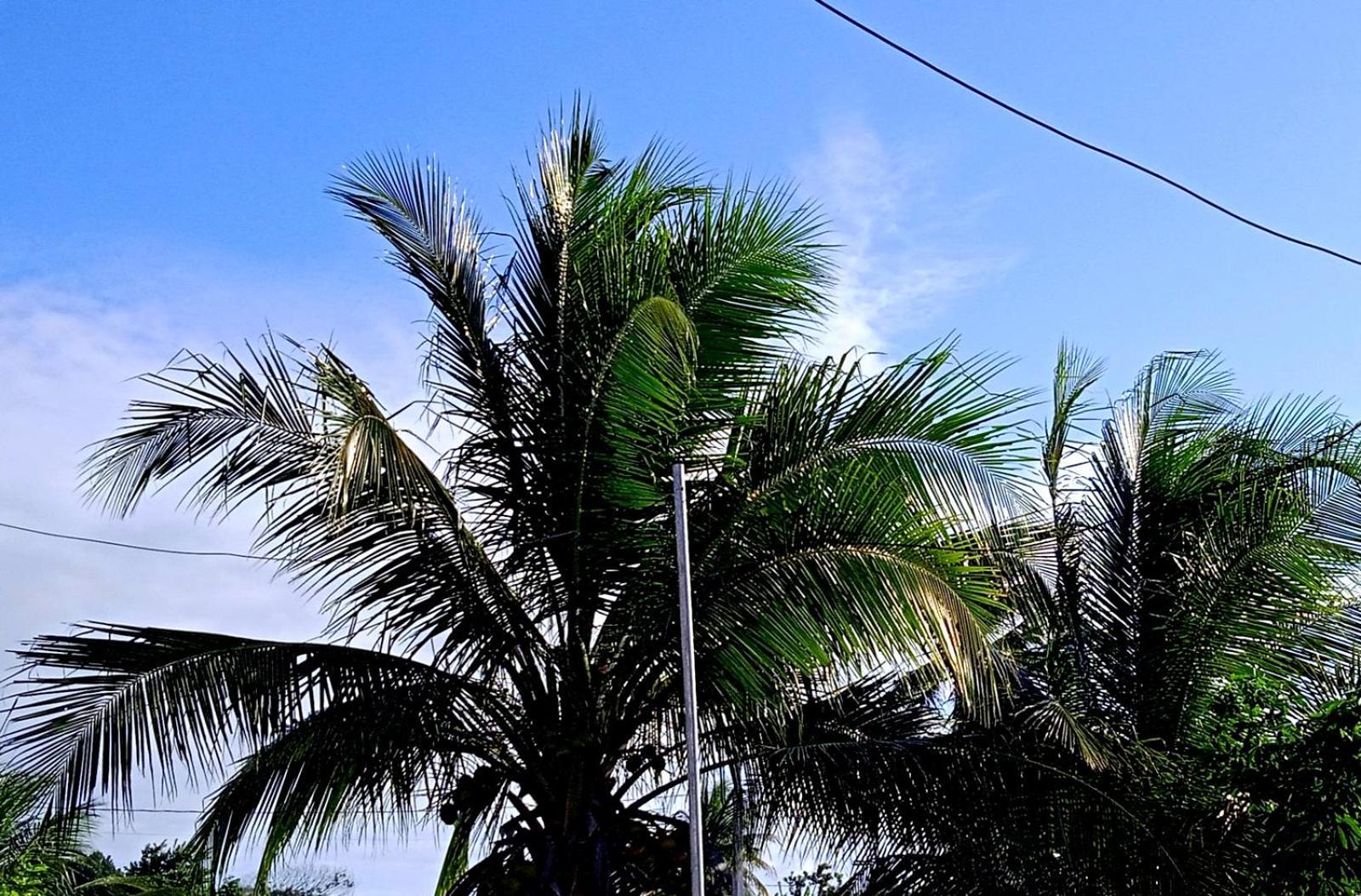 Summer Do Sol * Joao Pessoa