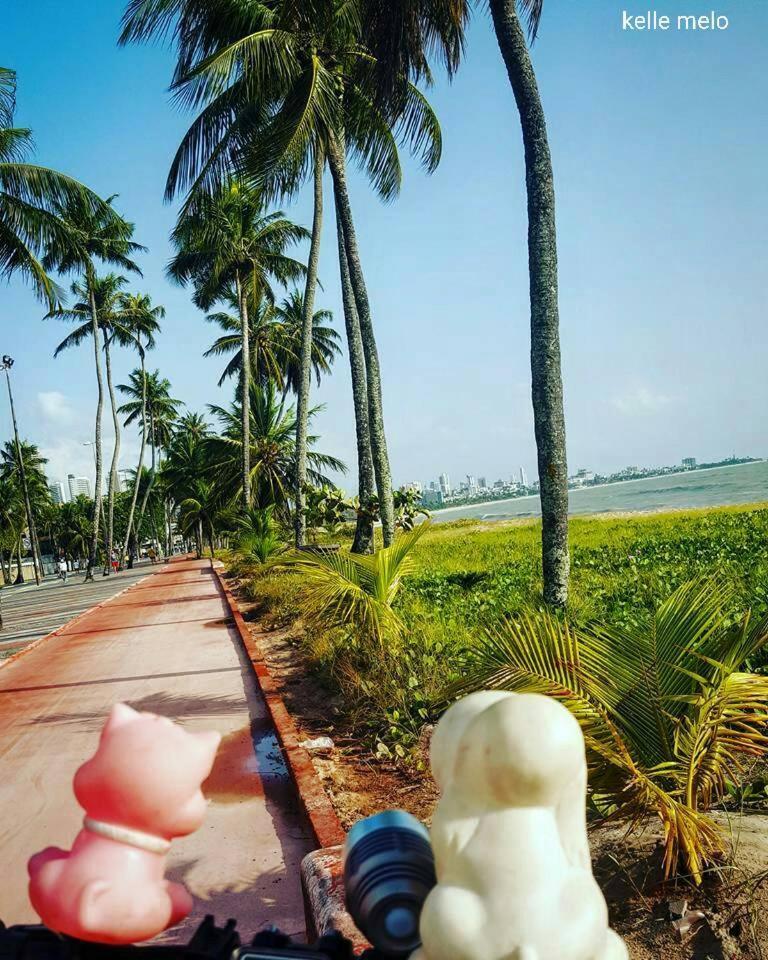 Flat Jampa Cobertura Duplex A Beira Mar *