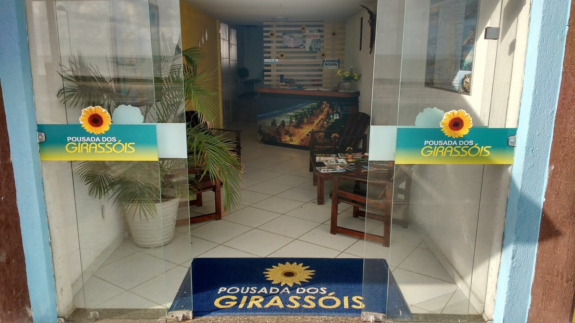 Dos Girassois João Pessoa