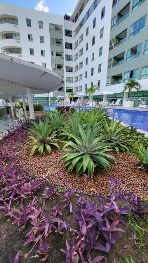 Ap Ed Luxor Tambau Mar Sol E Piscina Na Melhor Localizacao * Joao Pessoa