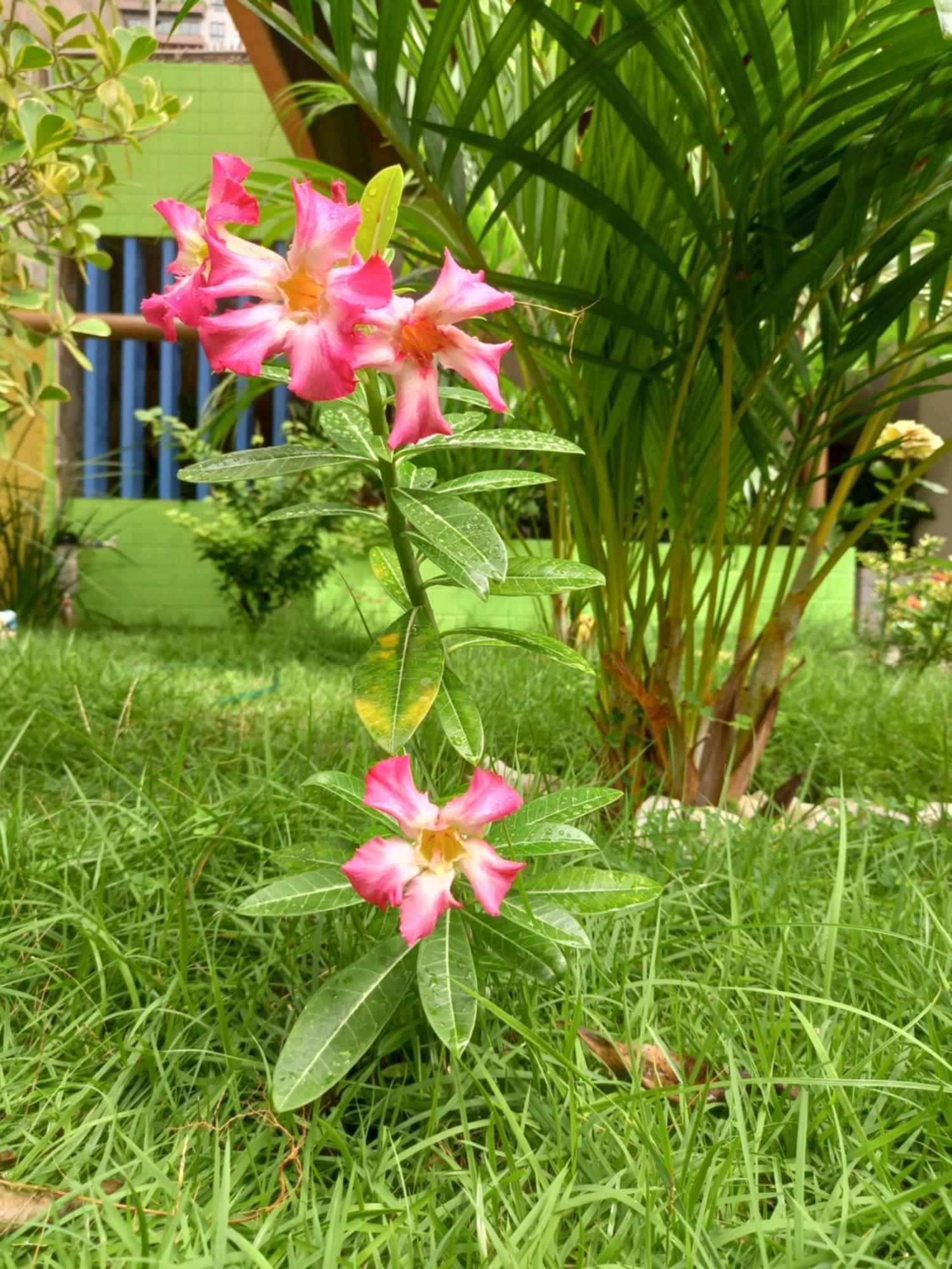 Guest house Aconchego Do Tambau *