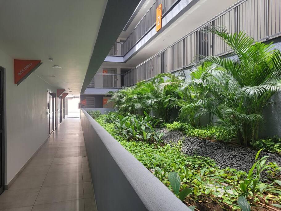 Apartment Box309 - Lindo Na Do Bessa *